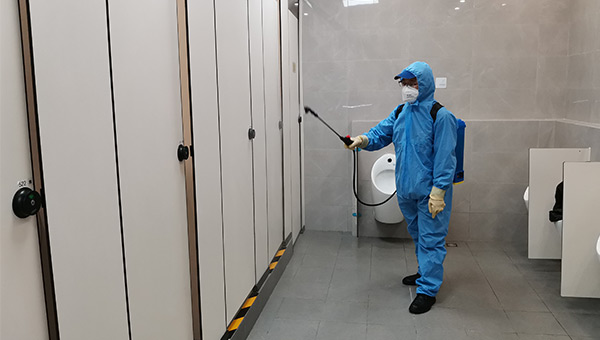 螞蟻、臭蟲滅殺