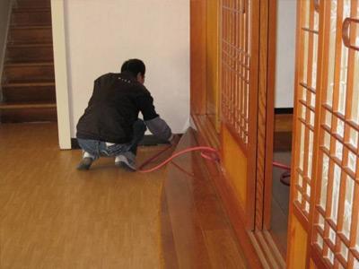 家里有該白蟻怎么辦？